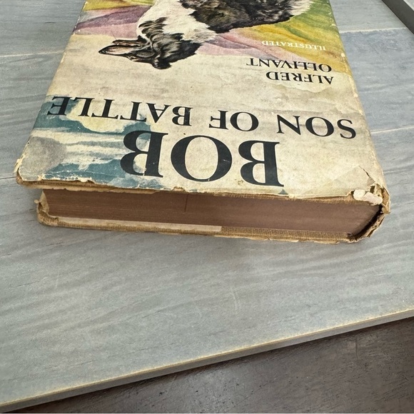 Alfred Ollivant Bob Son of Battle Famous Dog Stories Illustrated Vintage 1955 - Picture 3 of 13